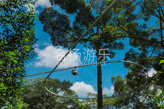 刺激的原子飛車，美好壯觀的自然景你錯過了嗎？