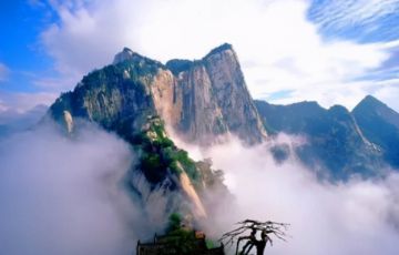 粗暴點，景區(qū)行業(yè)是不是廢了