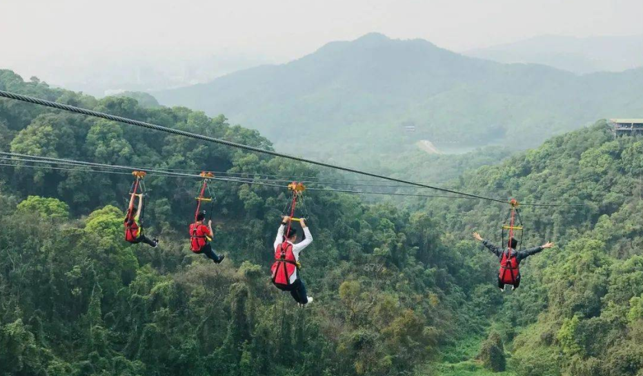 適合森林公園的游樂項(xiàng)目叢林滑索——簡單好玩，成本還低